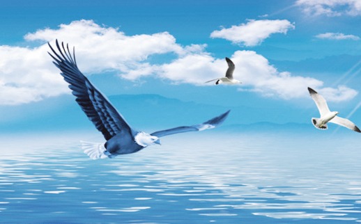 精产国品一二三产区蘑菇视频