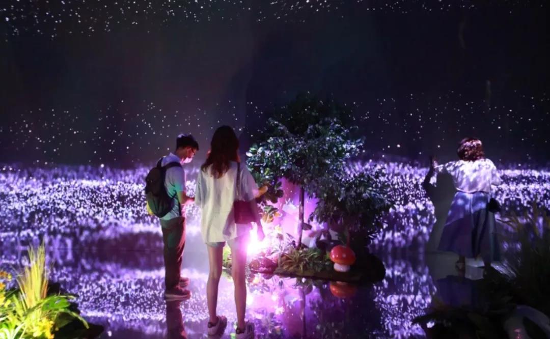 精产国品一二三产区蘑菇视频