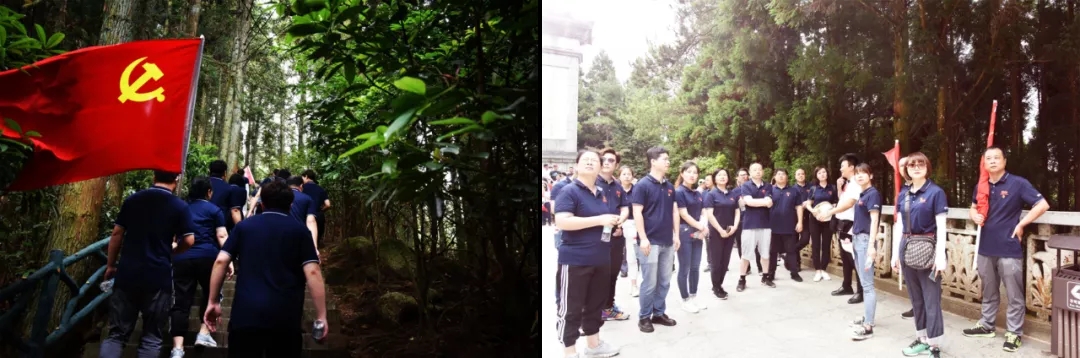 精产国品一二三产区蘑菇视频