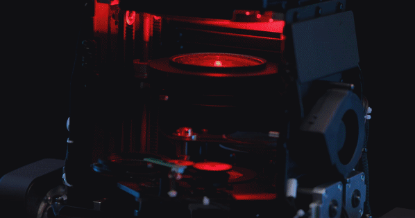 精产国品一二三产区蘑菇视频