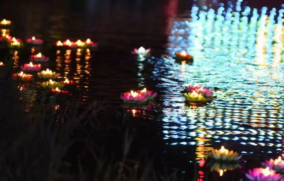 精产国品一二三产区蘑菇视频