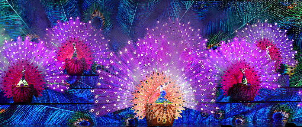 精产国品一二三产区蘑菇视频