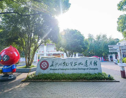 精产国品一二三产区蘑菇视频