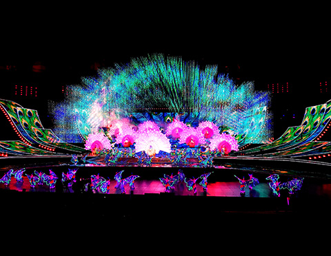 精产国品一二三产区蘑菇视频