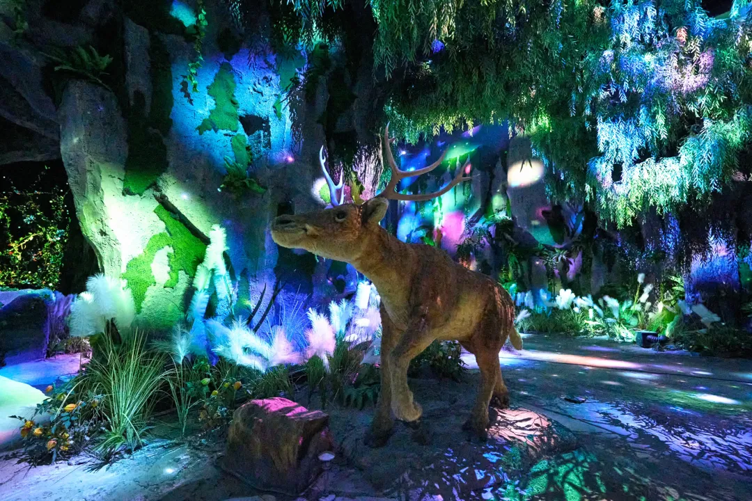 精产国品一二三产区蘑菇视频