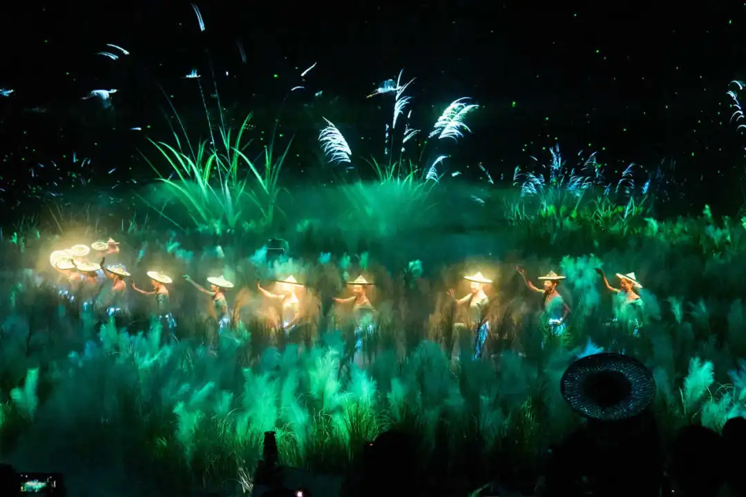 精产国品一二三产区蘑菇视频