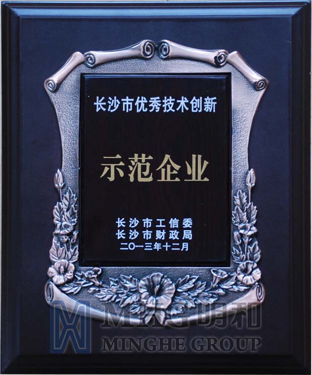 长沙市优秀技术创新示范企业