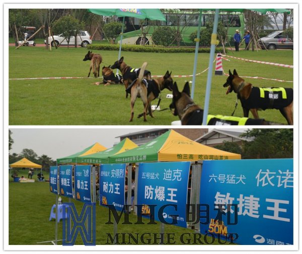 精产国品一二三产区蘑菇视频