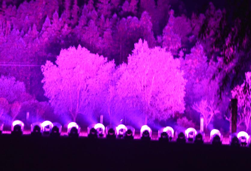 精产国品一二三产区蘑菇视频